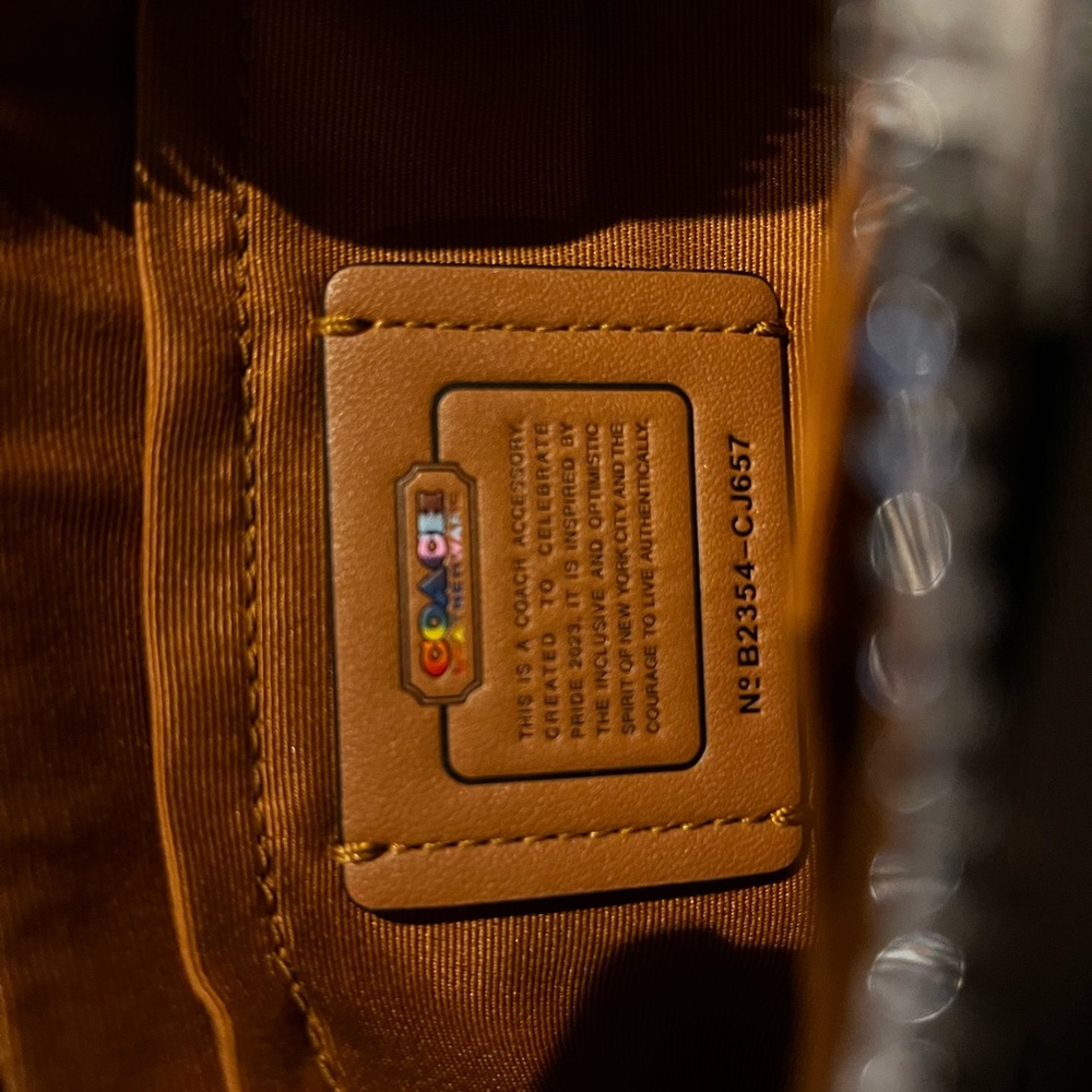 Small pride coach purse - Picture 3 of 6